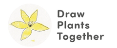 Plants draw together